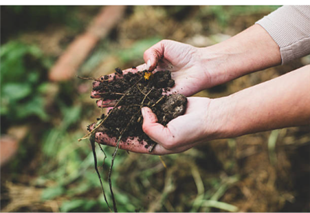 Soil