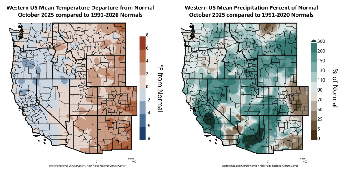 precipitation and temperature maps