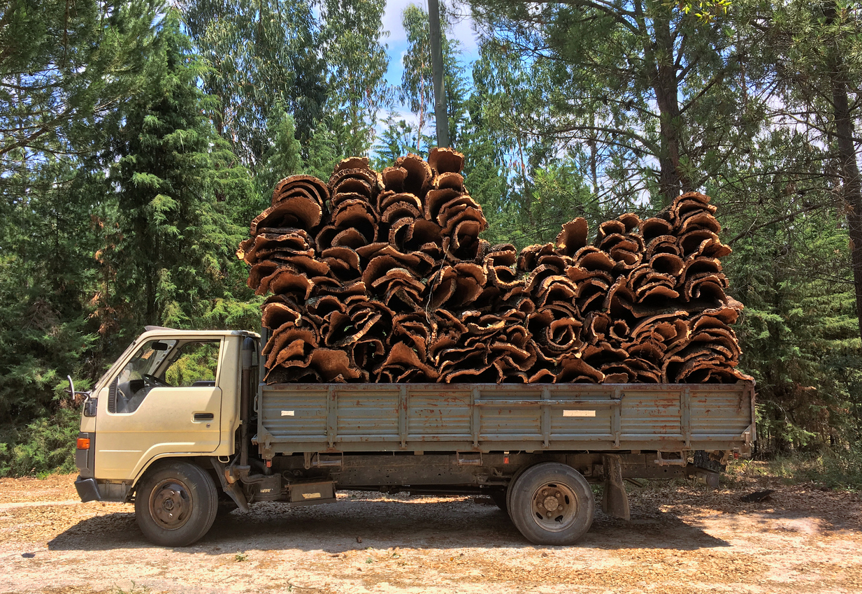 The secret to buying (and producing) sustainable wine