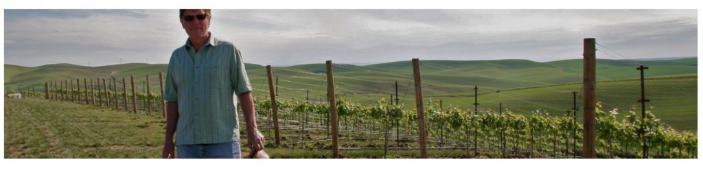 man in vineyard