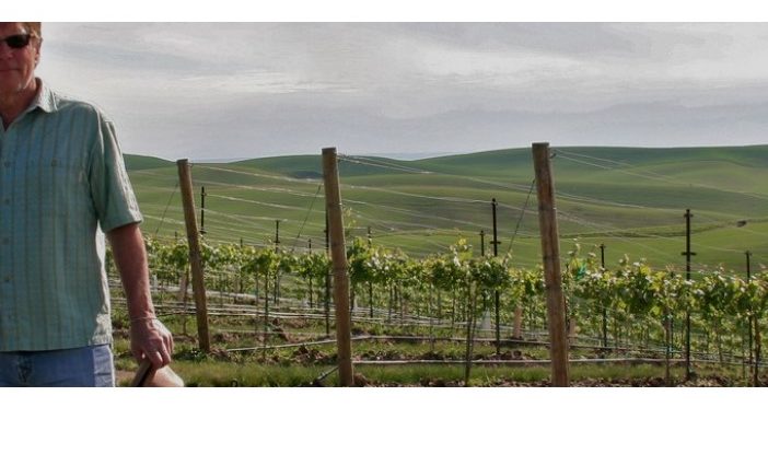 man in vineyard