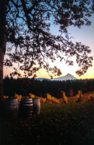 Phelps Creek Vineyards, October 2017