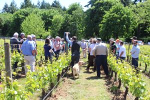 Dr. Smart vineyard workshop
